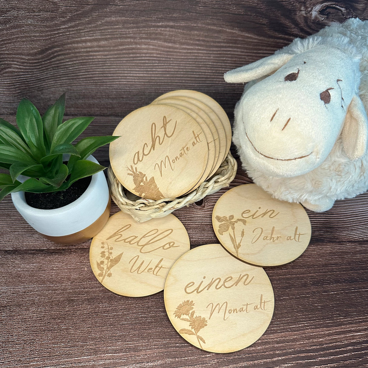 Meilensteinkarten Baby - Mein erstes Jahr